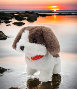 PIESEK PIES chodzący na smyczy szczeka PETS zestaw zabawka dla dzieci