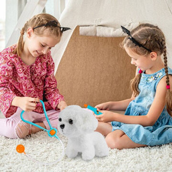 ZESTAW MAŁY DOKTOR LEKARZ WETERYNARZ PIESEK AKCESORIA OPIEKA PREZENT