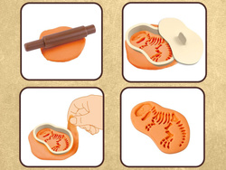 Masa plastyczna formy dinozaury ciastolina ZA4778