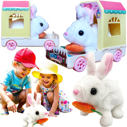 CHODZĄCY KRÓLIK ZAJĄCZEK W DOMKU PET HOME CHODZI RUSZA USZAMI I PYSZCZKIEM