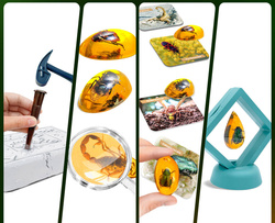 ZESTAW ARCHEOLOGICZNY WYKOPALISKA BURSZTYNÓW Z OWADAMI SKAMIENIAŁOŚCI