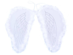 Najpiękniejsze białe Skrzydła ANIOŁA ZA0571