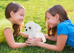 ZESTAW MAŁY DOKTOR LEKARZ WETERYNARZ PIESEK AKCESORIA OPIEKA PREZENT