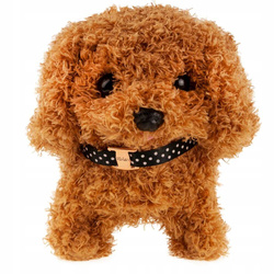 Chodzący PIESEK HUSKY Interaktywny PIES w DOMKU Chodzi i Szczeka