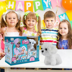 ZESTAW MAŁY DOKTOR LEKARZ WETERYNARZ PIESEK AKCESORIA OPIEKA PREZENT