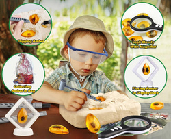 WYKOPALISKA skamieliny owadów w bursztynie ZESTAW dla Mały archeolog AMBER