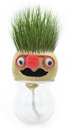 TRAWEK BUZIA FIGURKA GŁOWA DO PODLEWANIA Z ROŚLINĄ TRAWA OZDONA DO HODOWLA