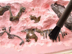 Szkielet Dinozaur TREX 3D ZESTAW figurka DINOZAURY