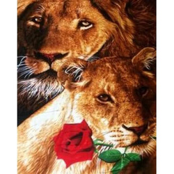 LWY OBRAZ Malowanie po numerach Obraz Lew i Lwica