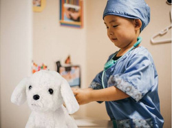 ZESTAW MAŁY DOKTOR LEKARZ WETERYNARZ PIESEK PIES ZABAWKA DLA DZIECI PREZENT