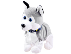 Interaktywny Piesek Husky REAGUJE Na Dotyk Dziecka